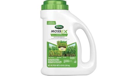 What Kills Moss