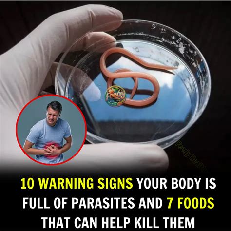 What Kills Parasites In The Human Body