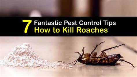What Kills Roaches Instantly