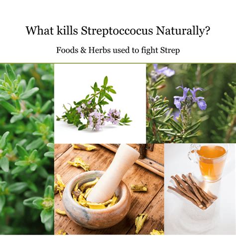 What Kills Streptococcus Bacteria Naturally