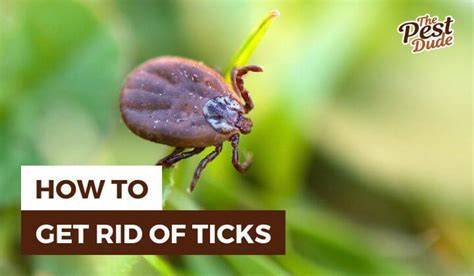 What Kills Ticks