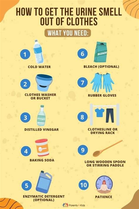 What Kills Urine Smell In Clothes