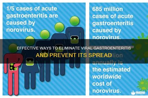 What Kills Viral Infections