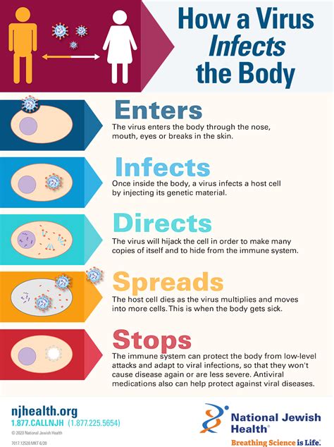 What Kills Viruses In The Body