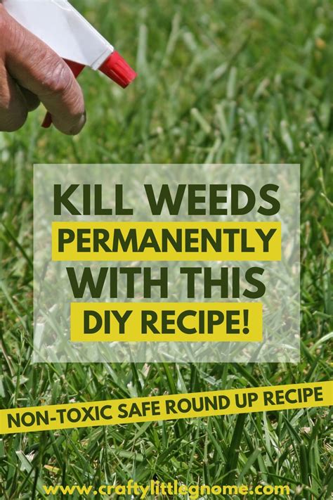 What Kills Weeds Permanently