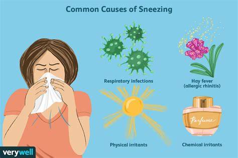 What Makes You Sneeze