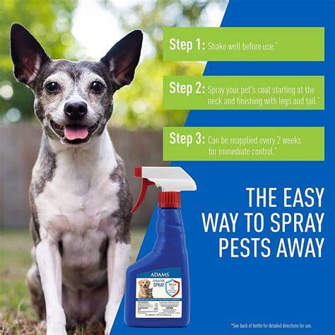 What Prevents Fleas On Dogs