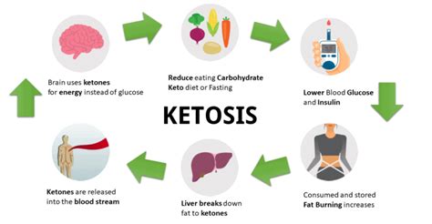 What Prevents Ketosis