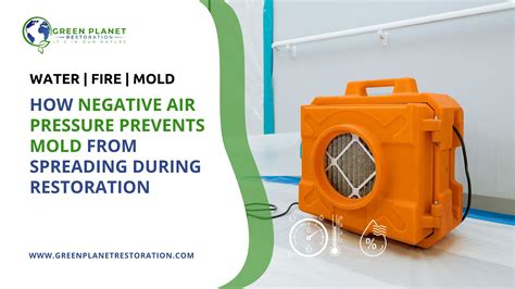 What Prevents Mold