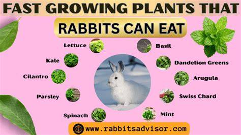 What Prevents Rabbits From Eating Plants