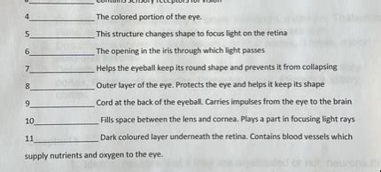 What Prevents The Eyeball From Collapsing