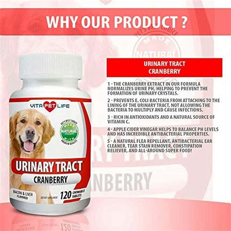 What Prevents Urinary Infections In Dogs