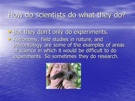 What The Scientists Do