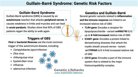 What Triggers Guillain Barre Syndrome