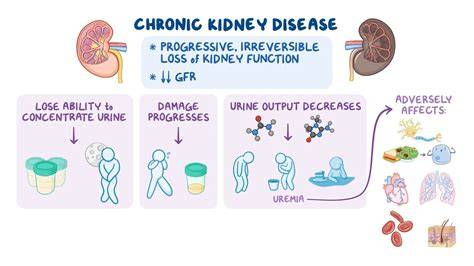 What Triggers Kidney Disease
