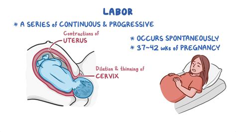 What Triggers Labor To Start
