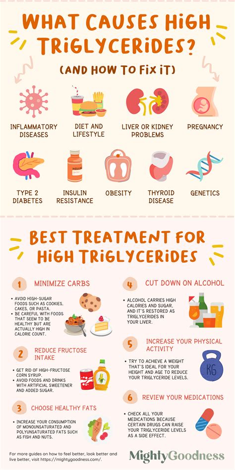 What Triggers Your Triglycerides To Be High
