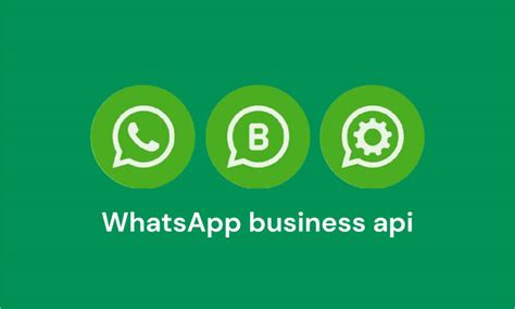 Whatsapp Business Api