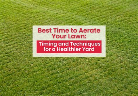 When Is Best Time To Aerate Yard