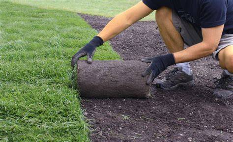 When Is Best Time To Lay Sod