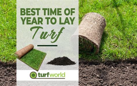 When Is Best Time To Lay Turf