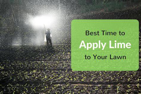 When Is Best Time To Lime Yard