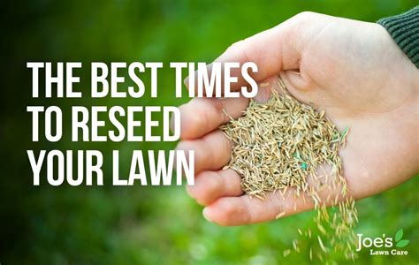 When Is Best Time To Reseed Lawn