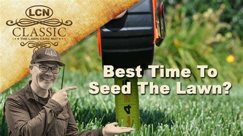 When Is Best Time To Seed Lawn