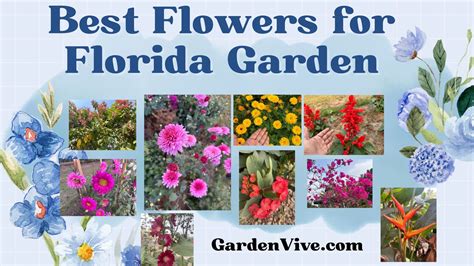 When Is Best Time To Water Flowers