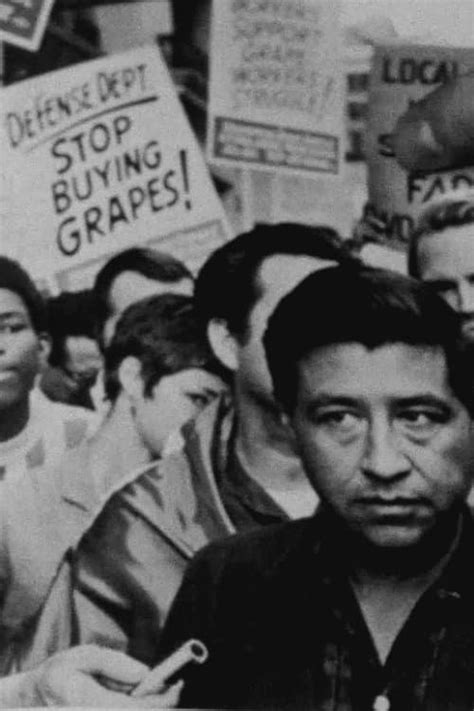 When To Stop Quartering Grapes