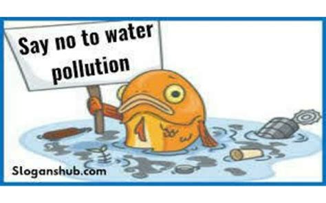 When To Stop Water