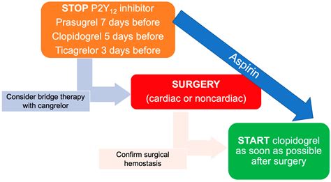 When To Stop Zoely Before Surgery