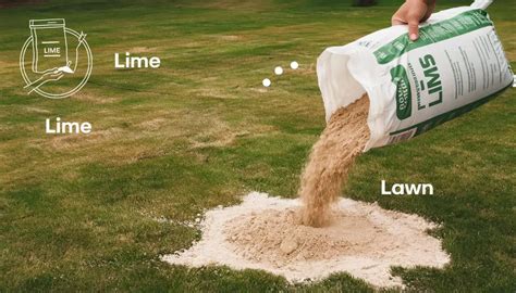 When To Use Lime On Lawn