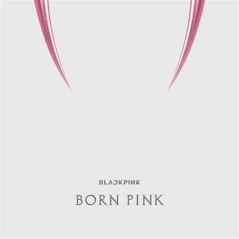 When Was Born Pink Album Released