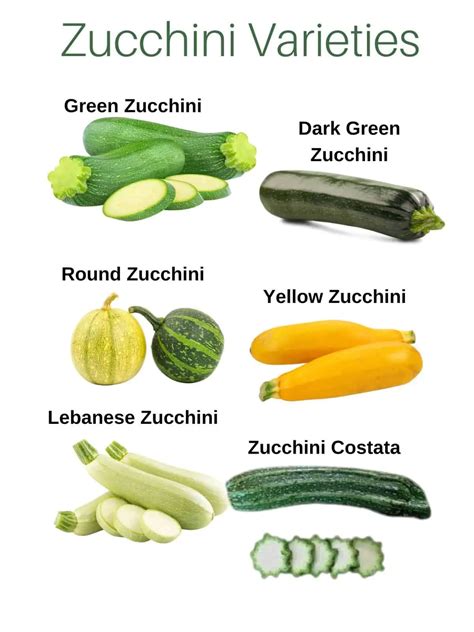 When Was Born Zucchini