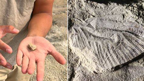 When Was Discovered Canada