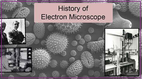 When Was Discovered Electron Microscope