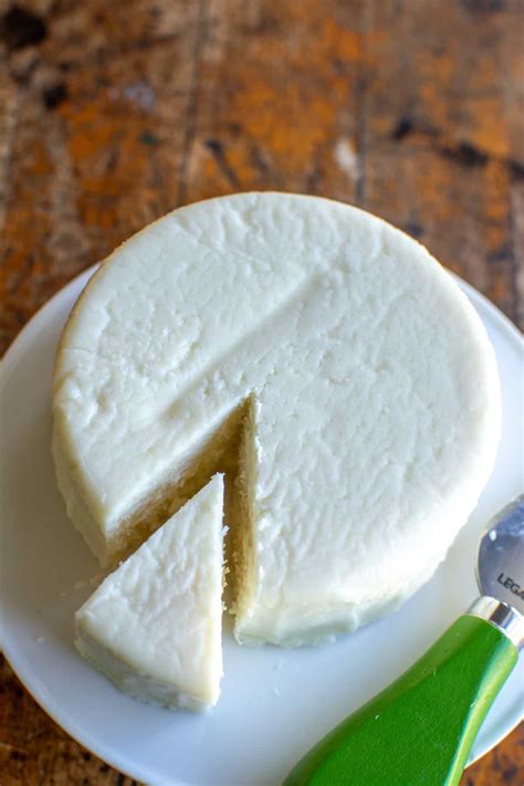 When Was Queso Born