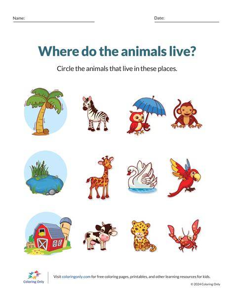 Where Do Live In