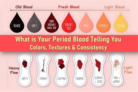 Where Does Blood Come From Period