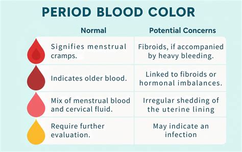 Where Does Blood Come From Your Period