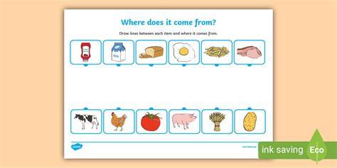 Where Does Come From Kids