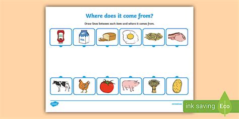 Where Does Come From Quiz