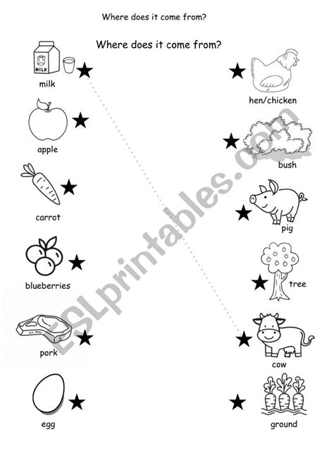 Where Does Food Come From Worksheet