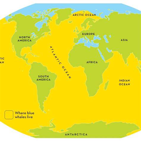 Where Does Live Blue Whales