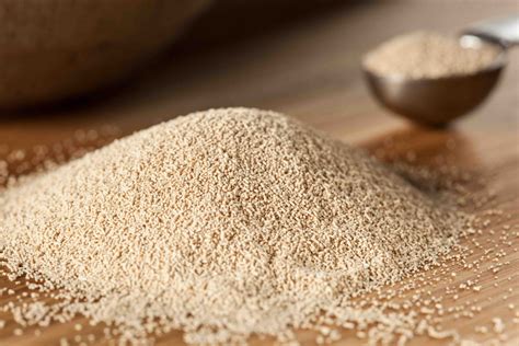 Where Does Live Yeast Come From