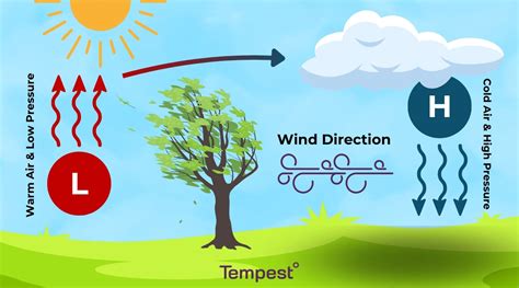 Where Does Wind Come From And Why