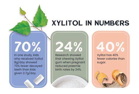 Where Does Xylitol Come From