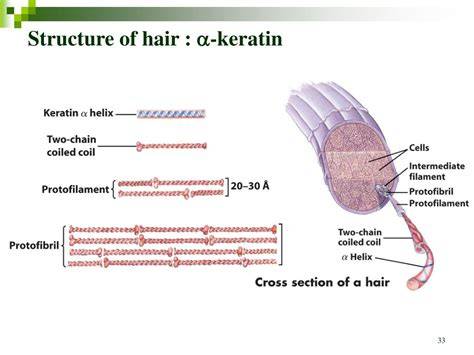 Where Is Keratin Found