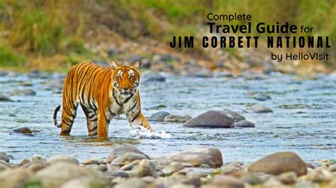 Where Is Located Jim Corbett National Park